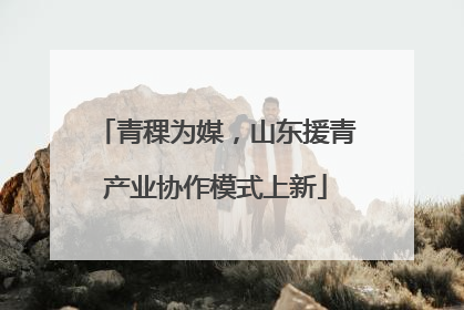 青稞为媒，山东援青产业协作模式上新