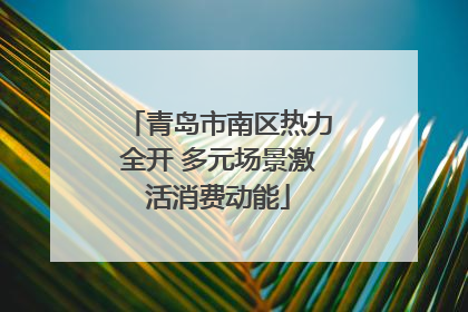 青岛市南区热力全开 多元场景激活消费动能