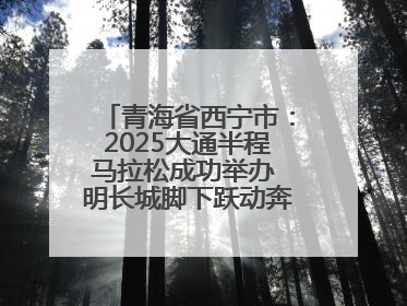 青海省西宁市：2025大通半程马拉松成功举办 明长城脚下跃动奔跑音符