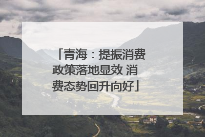 青海：提振消费政策落地显效 消费态势回升向好