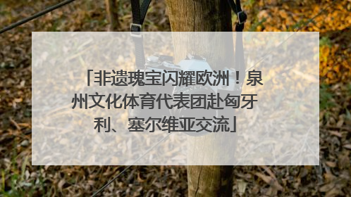 非遗瑰宝闪耀欧洲！泉州文化体育代表团赴匈牙利、塞尔维亚交流