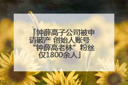 钟薛高子公司被申请破产 创始人账号“钟薛高老林”粉丝仅1800余人