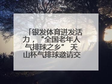 银发体育迸发活力，“全国老年人气排球之乡” 天山杯气排球邀请交流赛举行