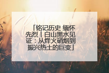 铭记历史 缅怀先烈丨白山黑水见证：从烽火硝烟到振兴热土的巨变