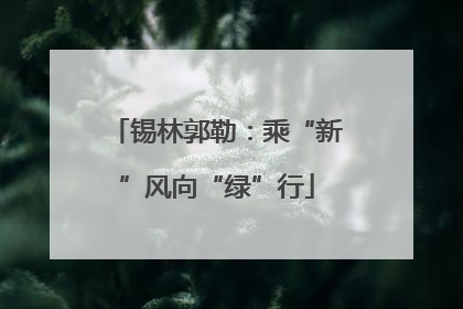 锡林郭勒：乘“新”风向“绿”行