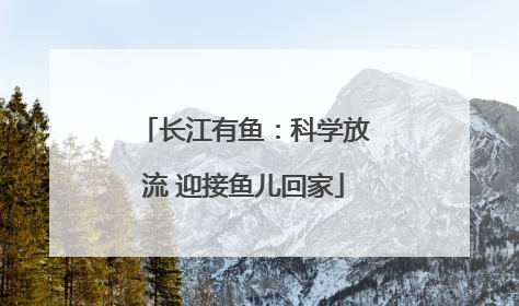 长江有鱼：科学放流 迎接鱼儿回家