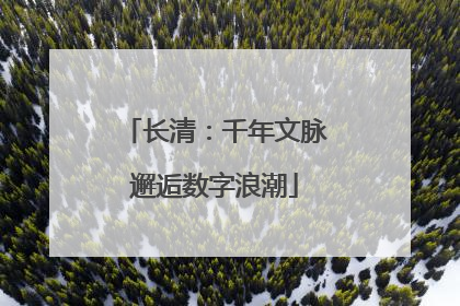 长清：千年文脉邂逅数字浪潮
