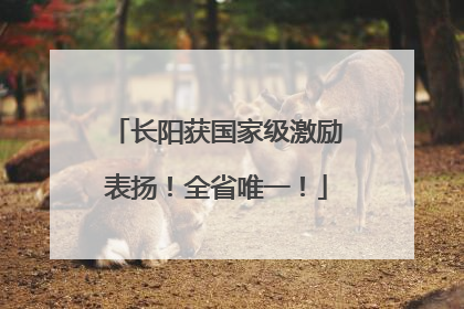 长阳获国家级激励表扬！全省唯一！