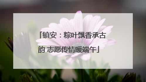 镇安：粽叶飘香承古韵 志愿传情暖端午