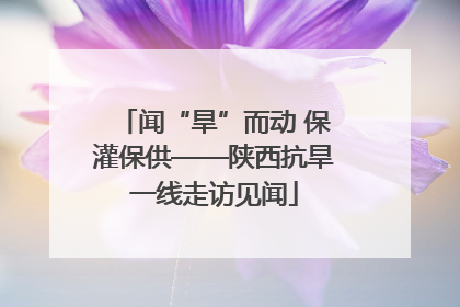 闻“旱”而动 保灌保供——陕西抗旱一线走访见闻