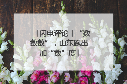 闪电评论丨“数数数”，山东跑出加“数”度