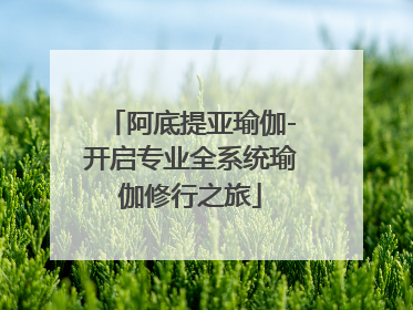 阿底提亚瑜伽-开启专业全系统瑜伽修行之旅