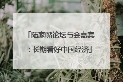 陆家嘴论坛与会嘉宾：长期看好中国经济