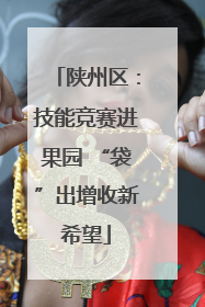 陕州区：技能竞赛进果园 “袋”出增收新希望