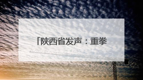 陕西省发声：重拳出击、高压震慑