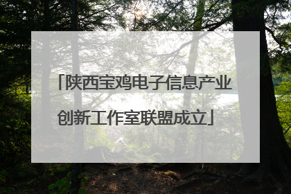 陕西宝鸡电子信息产业创新工作室联盟成立