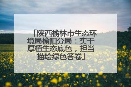陕西榆林市生态环境局榆阳分局：实干厚植生态底色，担当描绘绿色答卷