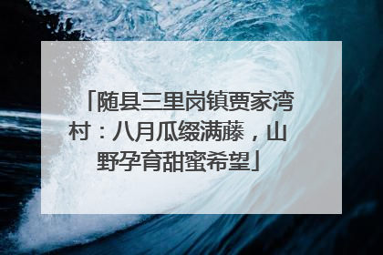 随县三里岗镇贾家湾村：八月瓜缀满藤，山野孕育甜蜜希望