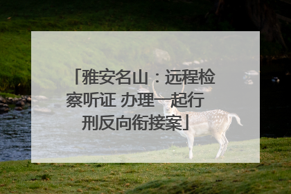 雅安名山：远程检察听证 办理一起行刑反向衔接案