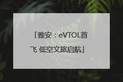 雅安：eVTOL首飞 低空文旅启航