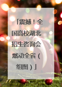 震撼！全国高校湖北招生咨询会燃动全省（组图）