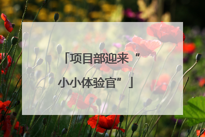 项目部迎来“小小体验官”