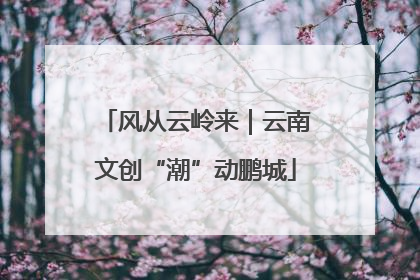 风从云岭来｜云南文创“潮”动鹏城