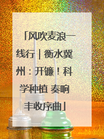 风吹麦浪一线行｜衡水冀州：开镰！科学种植 奏响丰收序曲