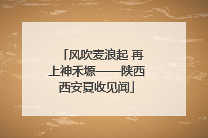 风吹麦浪起 再上神禾塬——陕西西安夏收见闻