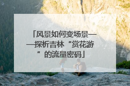 风景如何变场景——探析吉林“赏花游”的流量密码