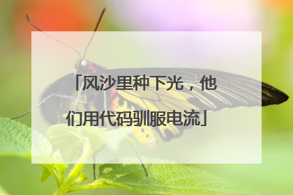 风沙里种下光，他们用代码驯服电流
