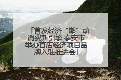 首发经济“燃”动消费新引擎 泰安市举办首店经济项目品牌入驻推进会