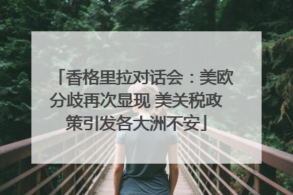 香格里拉对话会：美欧分歧再次显现 美关税政策引发各大洲不安