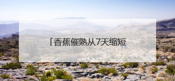 香蕉催熟从7天缩短到3天 新发地国际香蕉集散中心正式启用