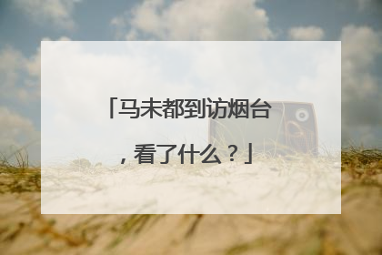 马未都到访烟台，看了什么？
