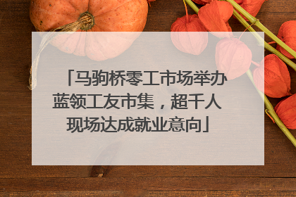 马驹桥零工市场举办蓝领工友市集，超千人现场达成就业意向
