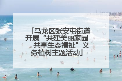 马龙区张安屯街道开展“共建美丽家园，共享生态福祉”义务植树主题活动