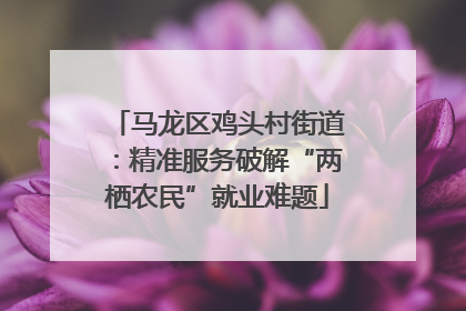 马龙区鸡头村街道：精准服务破解“两栖农民”就业难题