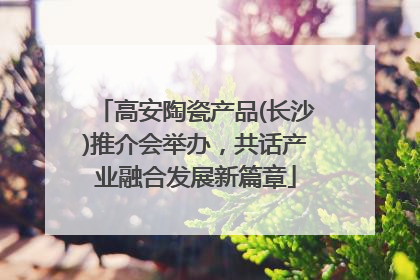 高安陶瓷产品(长沙)推介会举办，共话产业融合发展新篇章