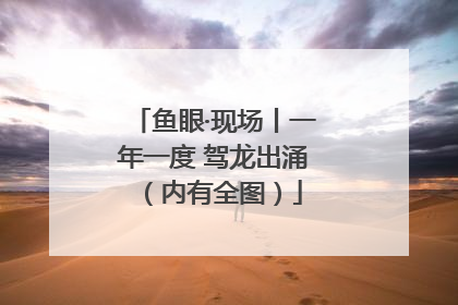 鱼眼·现场丨一年一度 驾龙出涌（内有全图）