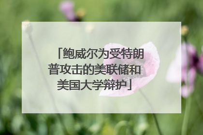 鲍威尔为受特朗普攻击的美联储和美国大学辩护