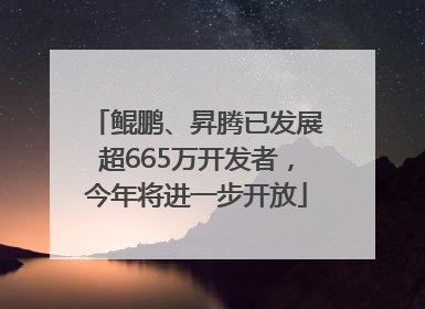 鲲鹏、昇腾已发展超665万开发者，今年将进一步开放