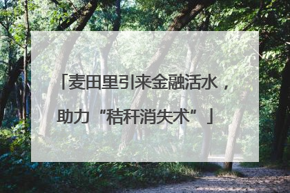麦田里引来金融活水，助力“秸秆消失术”