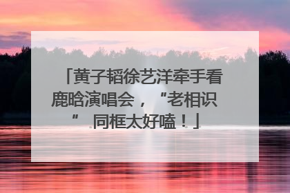 黄子韬徐艺洋牵手看鹿晗演唱会，“老相识” 同框太好嗑！