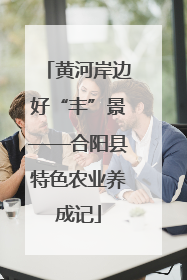 黄河岸边好“丰”景——合阳县特色农业养成记