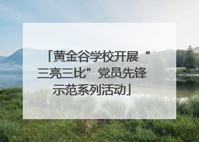 黄金谷学校开展“三亮三比”党员先锋示范系列活动
