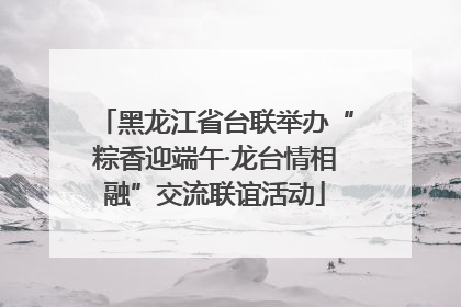 黑龙江省台联举办“粽香迎端午·龙台情相融”交流联谊活动