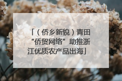 （侨乡新貌）青田“侨贸网络”助推浙江优质农产品出海