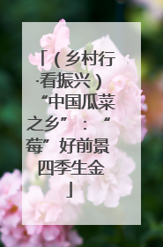 （乡村行·看振兴）“中国瓜菜之乡”：“莓”好前景 四季生金