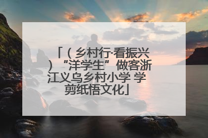 （乡村行·看振兴）“洋学生”做客浙江义乌乡村小学 学剪纸悟文化